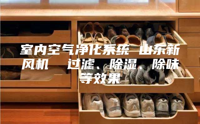 室内空气净化系统 山东新风机  过滤、除湿、除味等效果