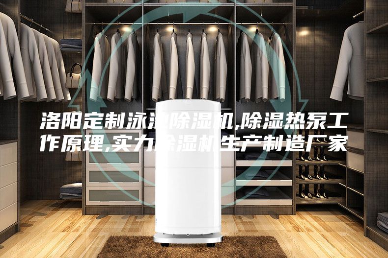 洛阳定制泳池除湿机,除湿热泵工作原理,实力除湿机生产制造厂家