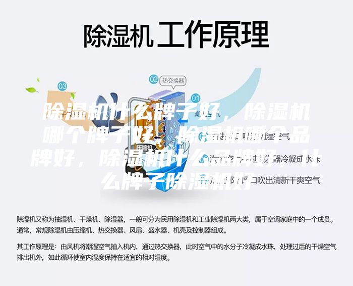 除湿机什么牌子好，除湿机哪个牌子好，除湿机哪个品牌好，除湿机什么品牌好，什么牌子除湿机好