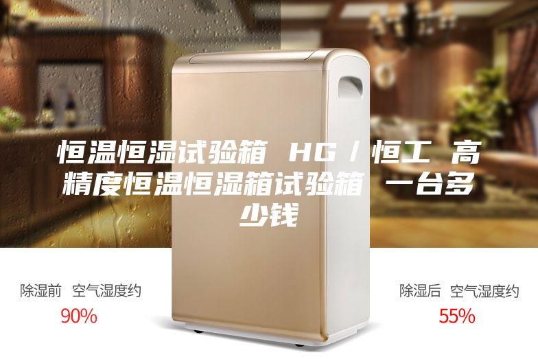 恒温恒湿试验箱 HG／恒工 高精度恒温恒湿箱试验箱 一台多少钱