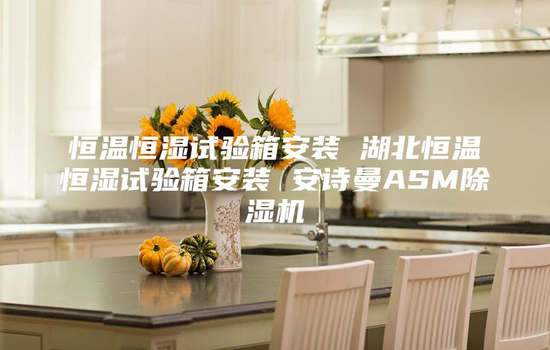 恒温恒湿试验箱安装 湖北恒温恒湿试验箱安装 安诗曼ASM除湿机