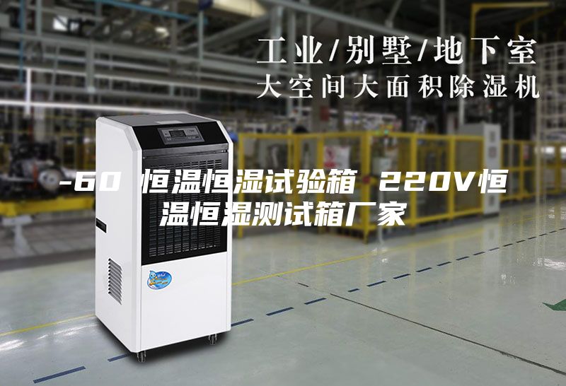 -60℃恒温恒湿试验箱 220V恒温恒湿测试箱厂家