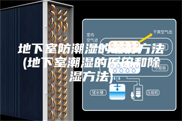 地下室防潮湿的最好方法(地下室潮湿的原因和除湿方法)