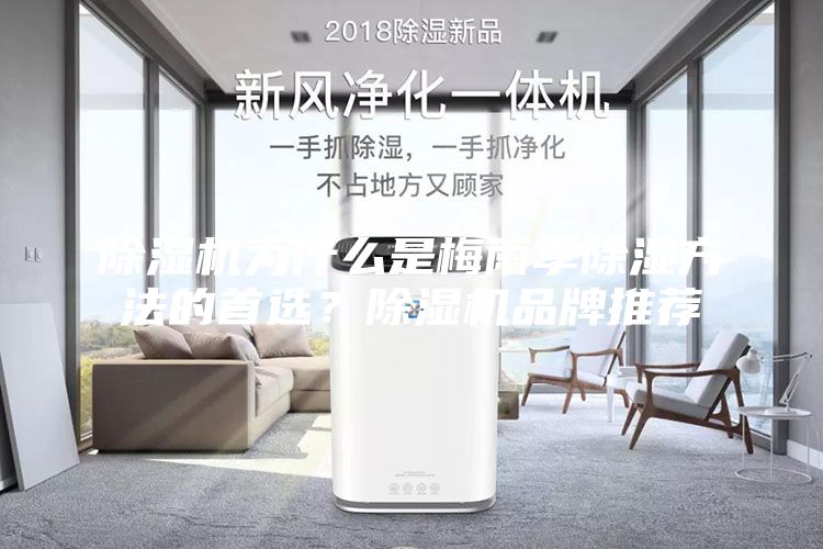 除湿机为什么是梅雨季除湿方法的首选？除湿机品牌推荐