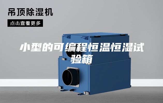 小型的可编程恒温恒湿试验箱