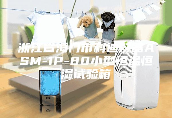 浙江省海门市科迪仪器ASM-1P-80小型恒温恒湿试验箱