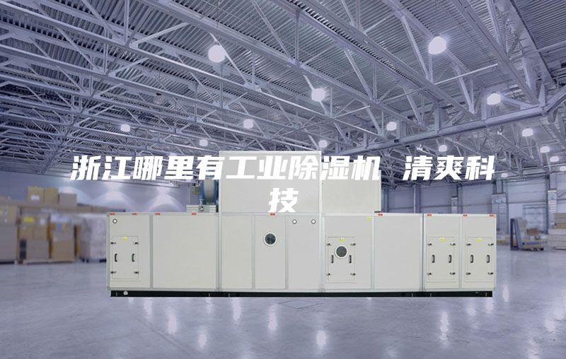 浙江哪里有工业除湿机 清爽科技