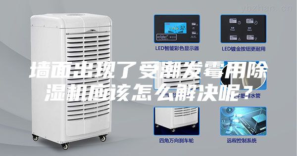 墙面出现了受潮发霉用除湿机应该怎么解决呢？