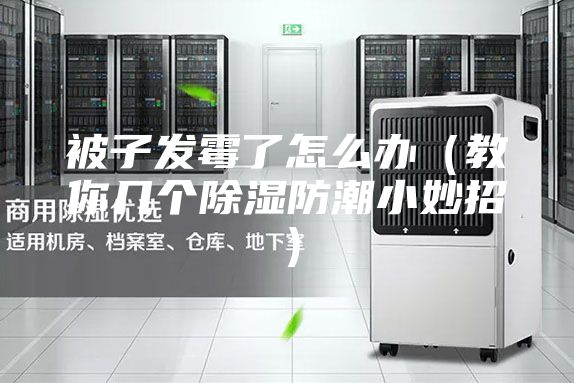 被子发霉了怎么办（教你几个除湿防潮小妙招）