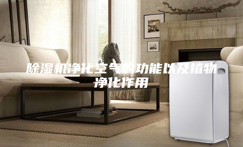 除湿机净化空气的功能以及植物净化作用