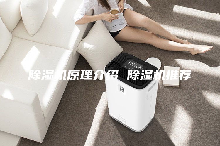 除湿机原理介绍 除湿机推荐