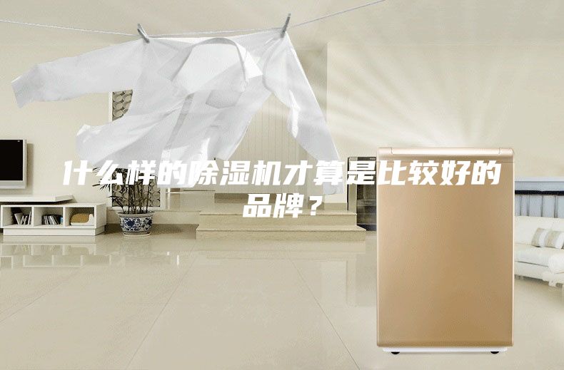 什么样的除湿机才算是比较好的品牌？