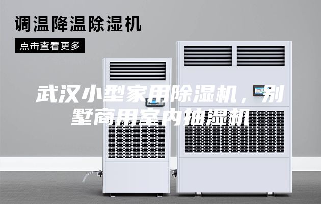 武汉小型家用除湿机，别墅商用室内抽湿机