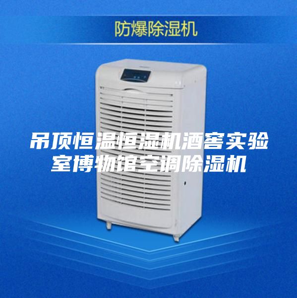 吊顶恒温恒湿机酒窖实验室博物馆空调除湿机