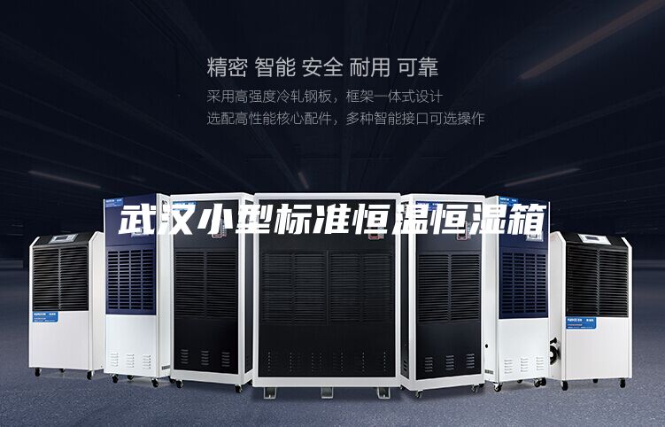 武汉小型标准恒温恒湿箱