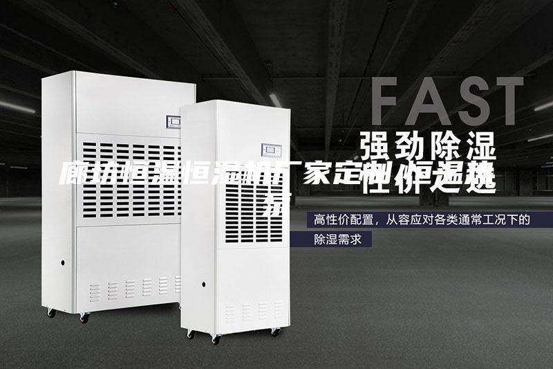 廊坊恒温恒湿机厂家定制,恒温热泵