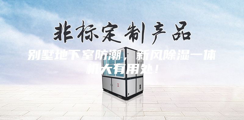 别墅地下室防潮，新风除湿一体机大有用处！
