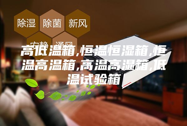 高低温箱,恒温恒湿箱,恒温高温箱,高温高湿箱,低温试验箱