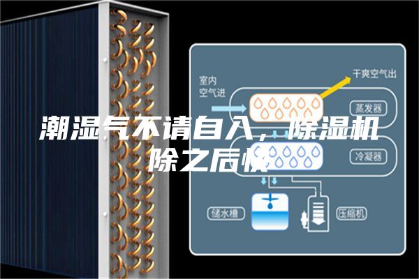 潮湿气不请自入，除湿机除之后快