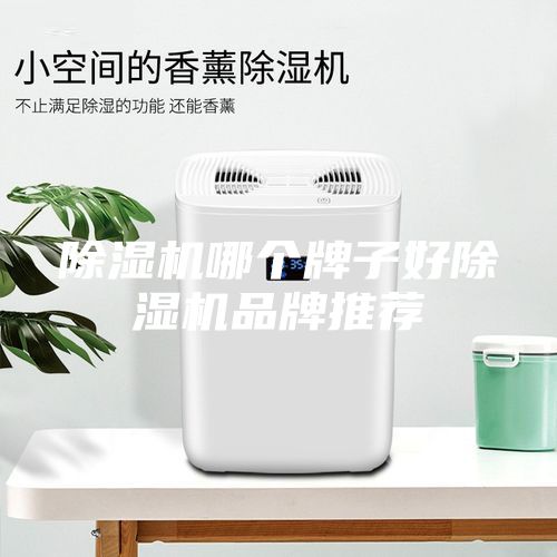 除湿机哪个牌子好除湿机品牌推荐
