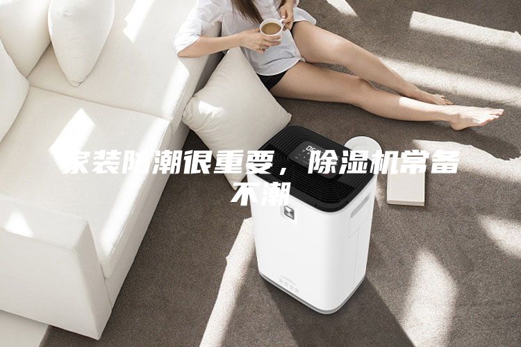 家装防潮很重要，除湿机常备不潮