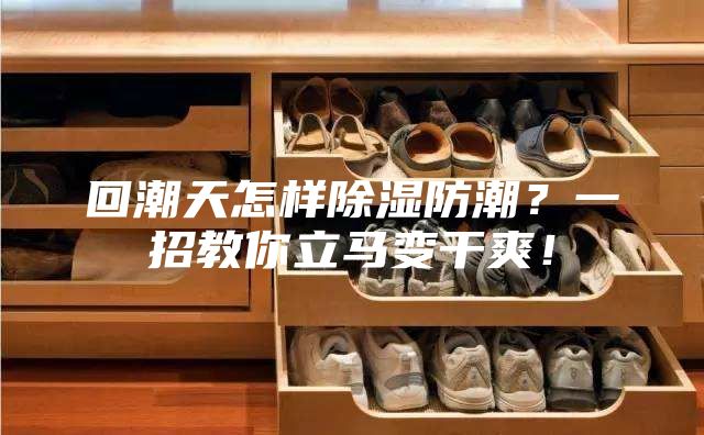 回潮天怎样除湿防潮？一招教你立马变干爽！