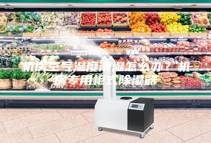机房空气湿度潮湿怎么办？机房专用柜式除湿器