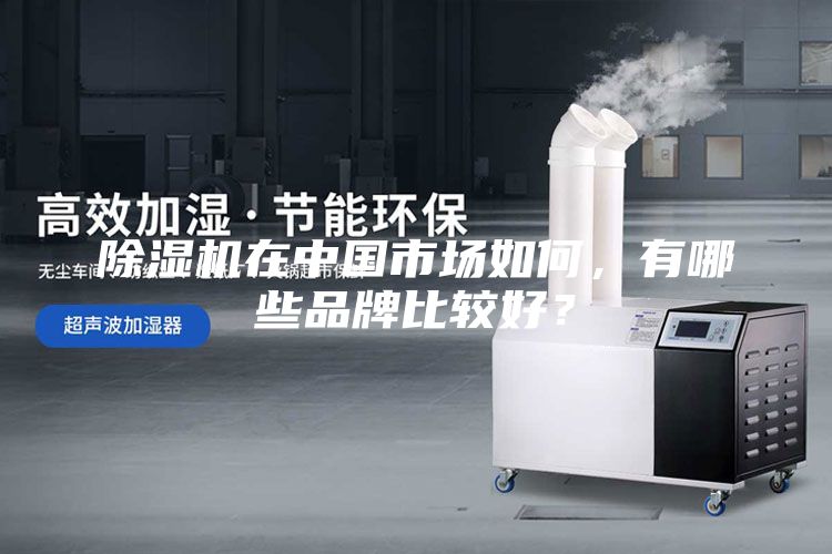 除湿机在中国市场如何，有哪些品牌比较好？