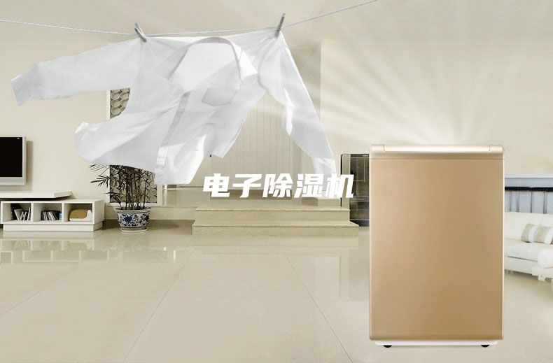 电子除湿机