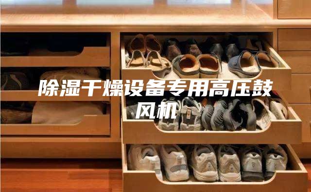 除湿干燥设备专用高压鼓风机
