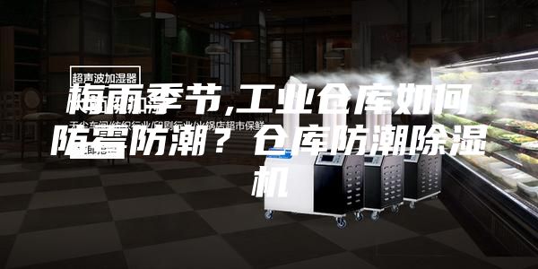 梅雨季节,工业仓库如何防霉防潮？仓库防潮除湿机