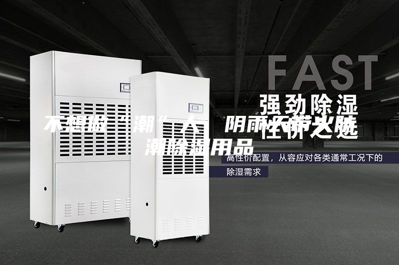 不想做“潮”人，阴雨天带火防潮除湿用品