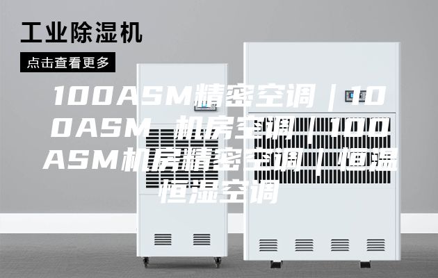 100ASM精密空调｜100ASM 机房空调｜100ASM机房精密空调｜恒温恒湿空调