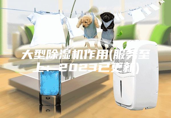 大型除湿机作用(服务至上：2023已更新)