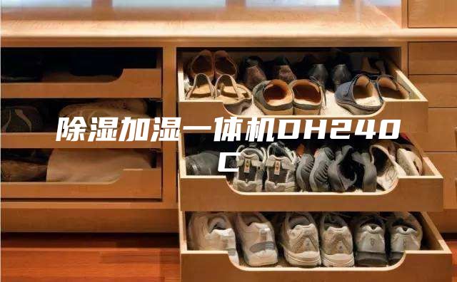 除湿加湿一体机DH240C