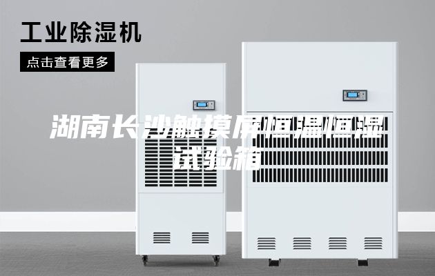 湖南长沙触摸屏恒温恒湿试验箱