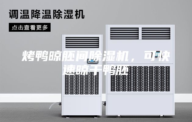 烤鸭晾胚间除湿机，可快速晾干鸭胚