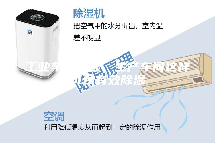 工业车间除湿，生产车间这样可以有效除湿