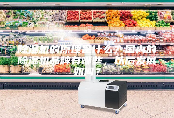 除湿机的原理是什么？国内的除湿机品牌有哪些，以后发展如何？
