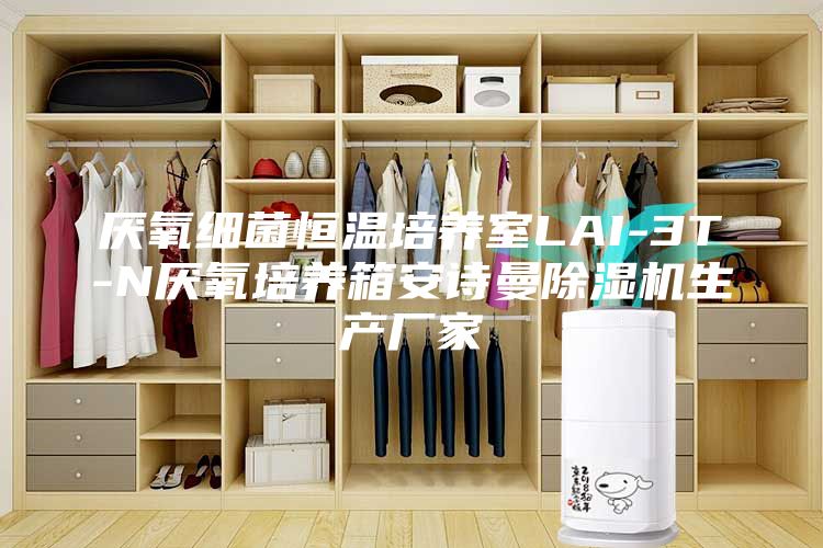 厌氧细菌恒温培养室LAI-3T-N厌氧培养箱安诗曼除湿机生产厂家