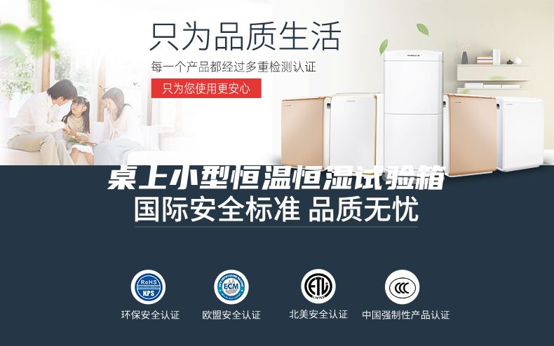 桌上小型恒温恒湿试验箱