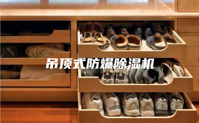 吊顶式防爆除湿机