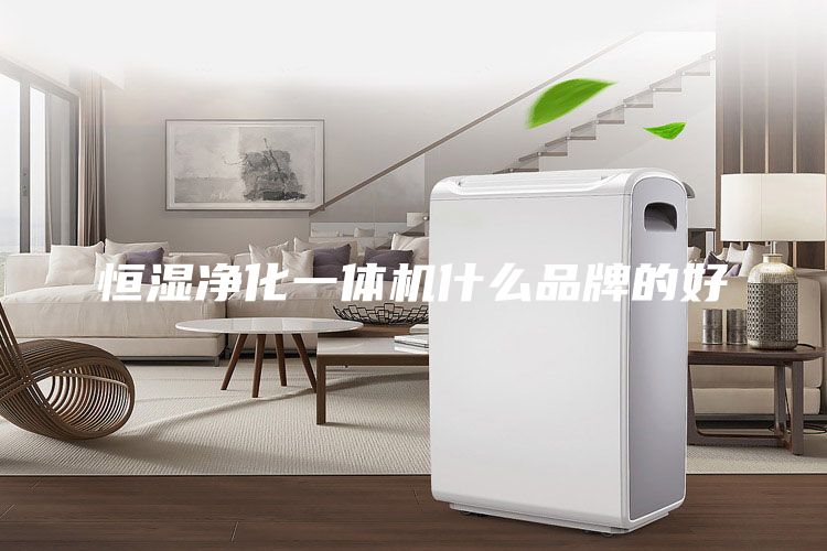 恒湿净化一体机什么品牌的好