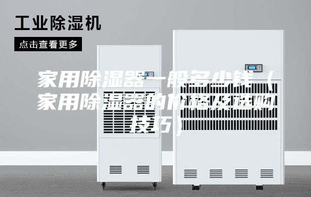 家用除湿器一般多少钱（家用除湿器的价格及选购技巧）