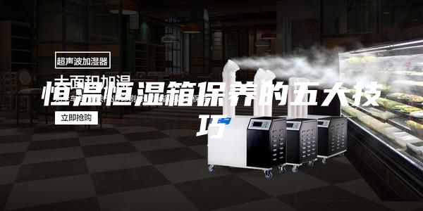恒温恒湿箱保养的五大技巧