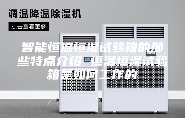 智能恒温恒湿试验箱的那些特点介绍 恒温恒湿试验箱是如何工作的