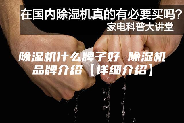 除湿机什么牌子好 除湿机品牌介绍【详细介绍】