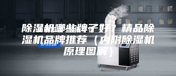 除湿机哪些牌子好？精品除湿机品牌推荐（内附除湿机原理图解）