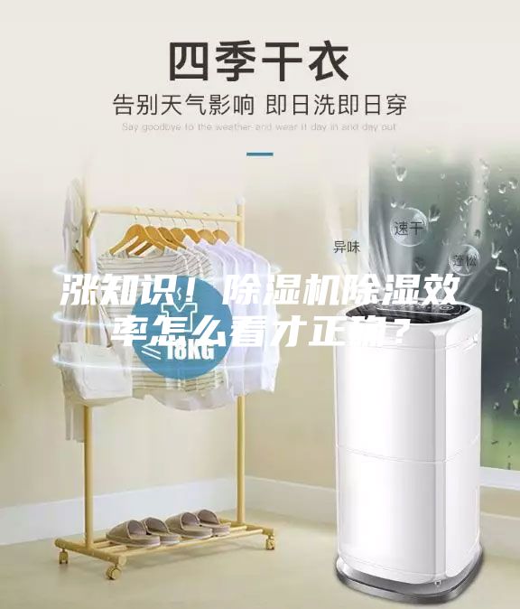 涨知识！除湿机除湿效率怎么看才正确？