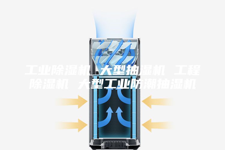 工业除湿机 大型抽湿机 工程除湿机 大型工业防潮抽湿机